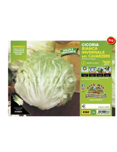 ORTO MIO - PIANTA ALTA...