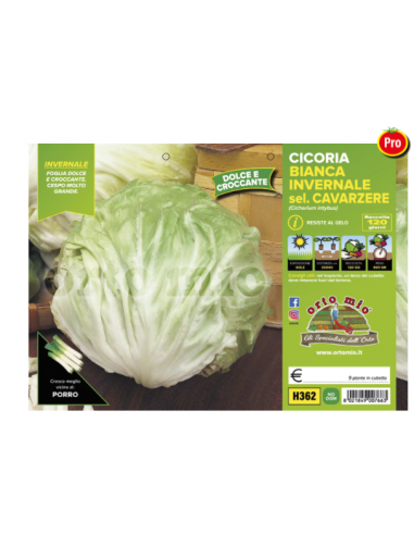 ORTO MIO - PIANTA ALTA QUALITA' -... ORTO MIO - PIANTA ALTA QUALITA' -...