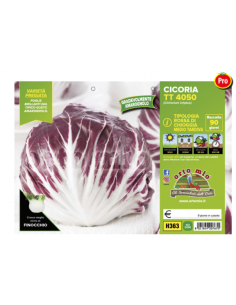 ORTO MIO - PIANTA ALTA...