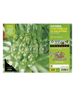 ORTO MIO - PIANTA ALTA...