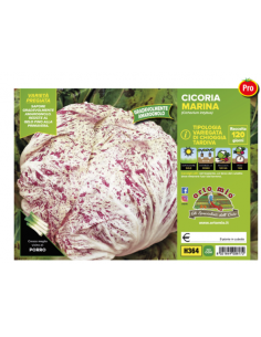 ORTO MIO - PIANTA ALTA...