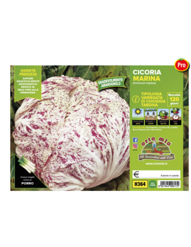 ORTO MIO - PIANTA ALTA QUALITA' -... ORTO MIO - PIANTA ALTA QUALITA' -...