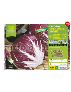 ORTO MIO - PIANTA ALTA...