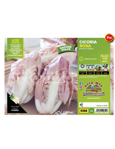 ORTO MIO - PIANTA ALTA QUALITA' -... ORTO MIO - PIANTA ALTA QUALITA' -...