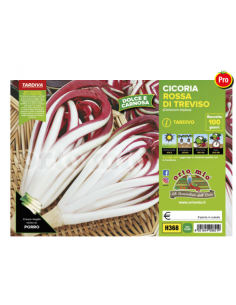 ORTO MIO - PIANTA ALTA...