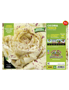 ORTO MIO - PIANTA ALTA...