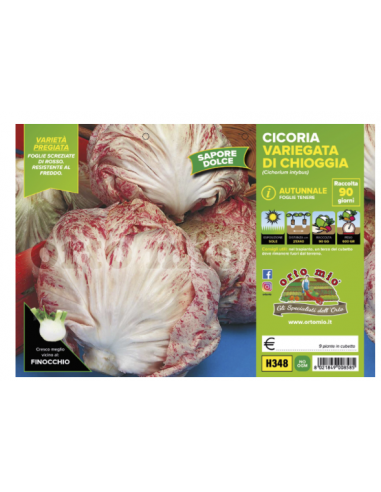 ORTO MIO - PIANTA ALTA QUALITA' -... ORTO MIO - PIANTA ALTA QUALITA' -...