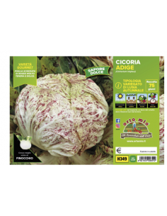 ORTO MIO - PIANTA ALTA...