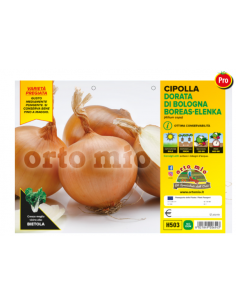 ORTO MIO - PIANTA ALTA...