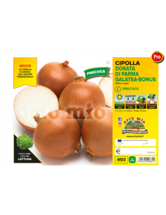 ORTO MIO - PIANTA ALTA...