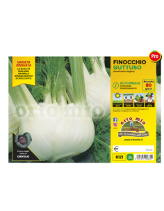 ORTO MIO - PIANTA ALTA...