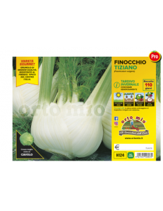 ORTO MIO - PIANTA ALTA...