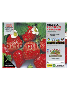 ORTO MIO - PIANTA ALTA...