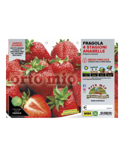 ORTO MIO - PIANTA ALTA...