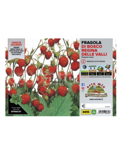 ORTO MIO - PIANTA ALTA...