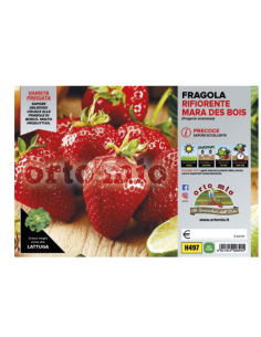 ORTO MIO - PIANTA ALTA...