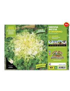 ORTO MIO - PIANTA ALTA...