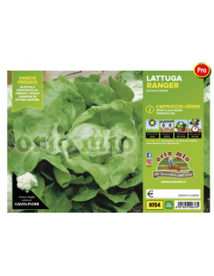 ORTO MIO - PIANTA ALTA...