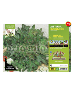 ORTO MIO - PIANTA ALTA...