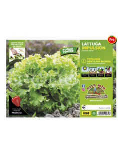 ORTO MIO - PIANTA ALTA...