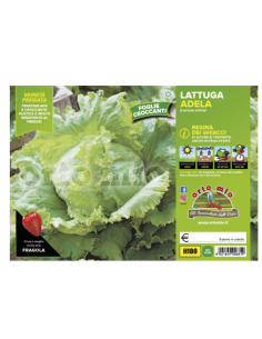 ORTO MIO - PIANTA ALTA...