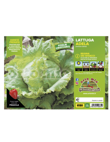 ORTO MIO - PIANTA ALTA QUALITA' -... ORTO MIO - PIANTA ALTA QUALITA' -...