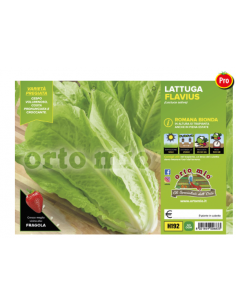 ORTO MIO - PIANTA ALTA...