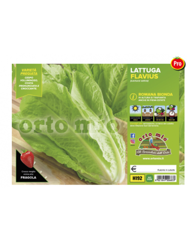 ORTO MIO - PIANTA ALTA QUALITA' -... ORTO MIO - PIANTA ALTA QUALITA' -...