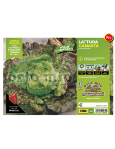 ORTO MIO - PIANTA ALTA...