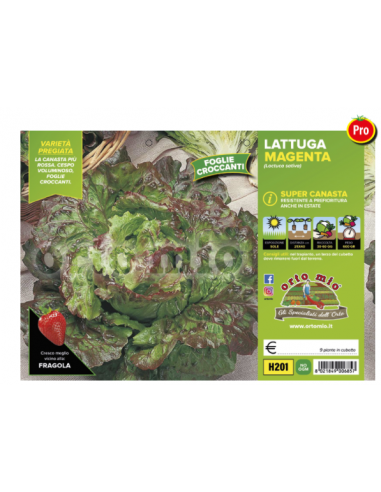 ORTO MIO - PIANTA ALTA QUALITA' -... ORTO MIO - PIANTA ALTA QUALITA' -...