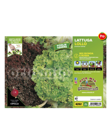 ORTO MIO - PIANTA ALTA QUALITA' -... ORTO MIO - PIANTA ALTA QUALITA' -...