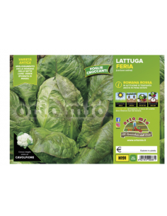 ORTO MIO - PIANTA ALTA...