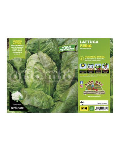 ORTO MIO - PIANTA ALTA QUALITA' -... ORTO MIO - PIANTA ALTA QUALITA' -...