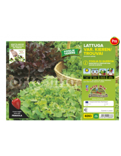 ORTO MIO - PIANTA ALTA...