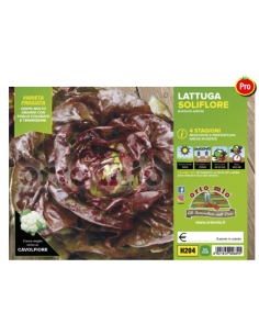 ORTO MIO - PIANTA ALTA...