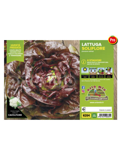 ORTO MIO - PIANTA ALTA QUALITA' -... ORTO MIO - PIANTA ALTA QUALITA' -...