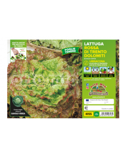 ORTO MIO - PIANTA ALTA...