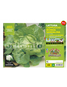 ORTO MIO - PIANTA ALTA...