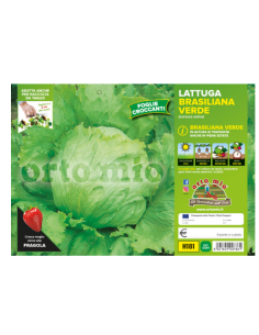 ORTO MIO - PIANTA ALTA...