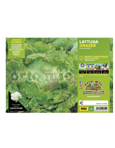 ORTO MIO - PIANTA ALTA...