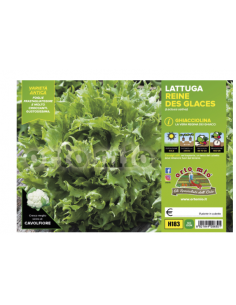 ORTO MIO - PIANTA ALTA...