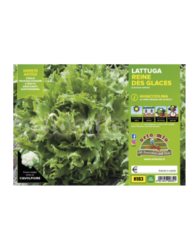 ORTO MIO - PIANTA ALTA QUALITA' -... ORTO MIO - PIANTA ALTA QUALITA' -...