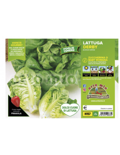 ORTO MIO - PIANTA ALTA...