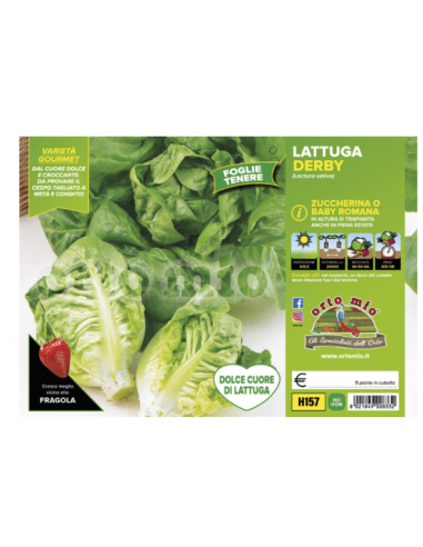 ORTO MIO - PIANTA ALTA QUALITA' -... ORTO MIO - PIANTA ALTA QUALITA' -...