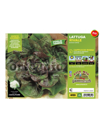 ORTO MIO - PIANTA ALTA QUALITA' -... ORTO MIO - PIANTA ALTA QUALITA' -...