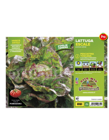 ORTO MIO - PIANTA ALTA QUALITA' -... ORTO MIO - PIANTA ALTA QUALITA' -...