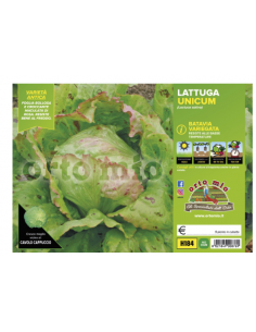 ORTO MIO - PIANTA ALTA...