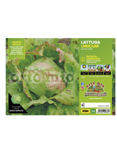 ORTO MIO - PIANTA ALTA QUALITA' -... ORTO MIO - PIANTA ALTA QUALITA' -...