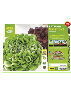 ORTO MIO - PIANTA ALTA...