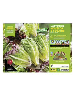 ORTO MIO - PIANTA ALTA...